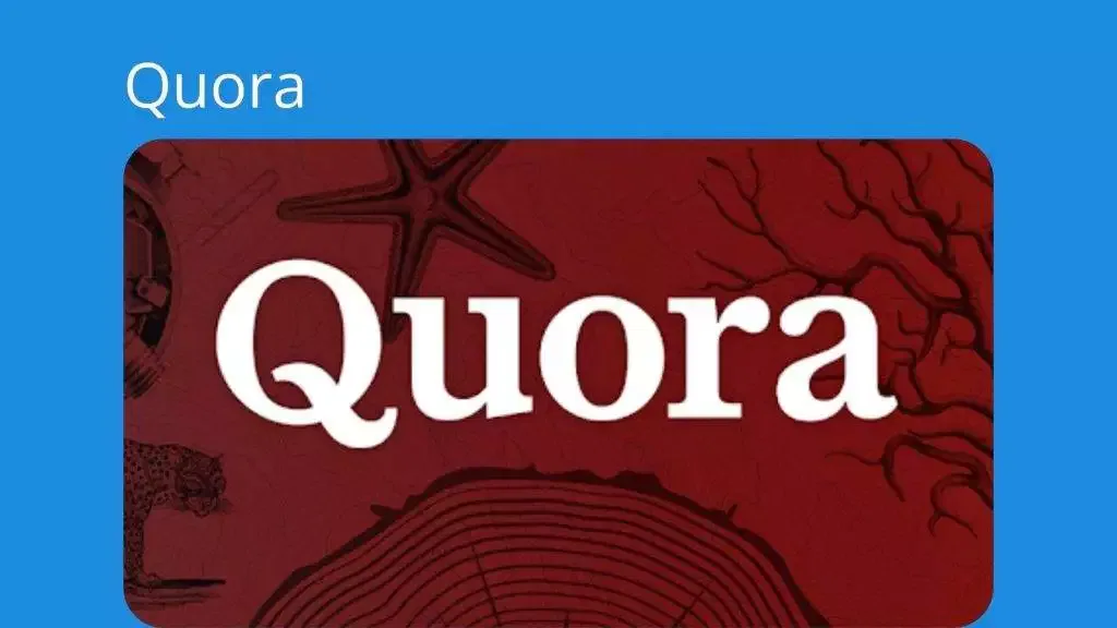 Best Social Media Marketing Platforms-quorra